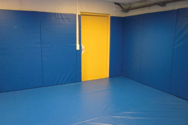 PROTECTION MURALE SUR MESURE LE M2